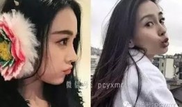 她在娱乐圈吃瓜全文阅读,她背后的故事与真相