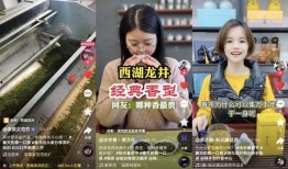 兵嫂直播爆料视频大全集,视频大全集背后的感人故事